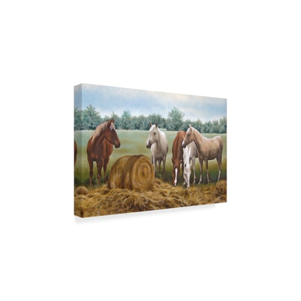 Carol J Rupp 'Morning Hay' Canvas Art,22x32